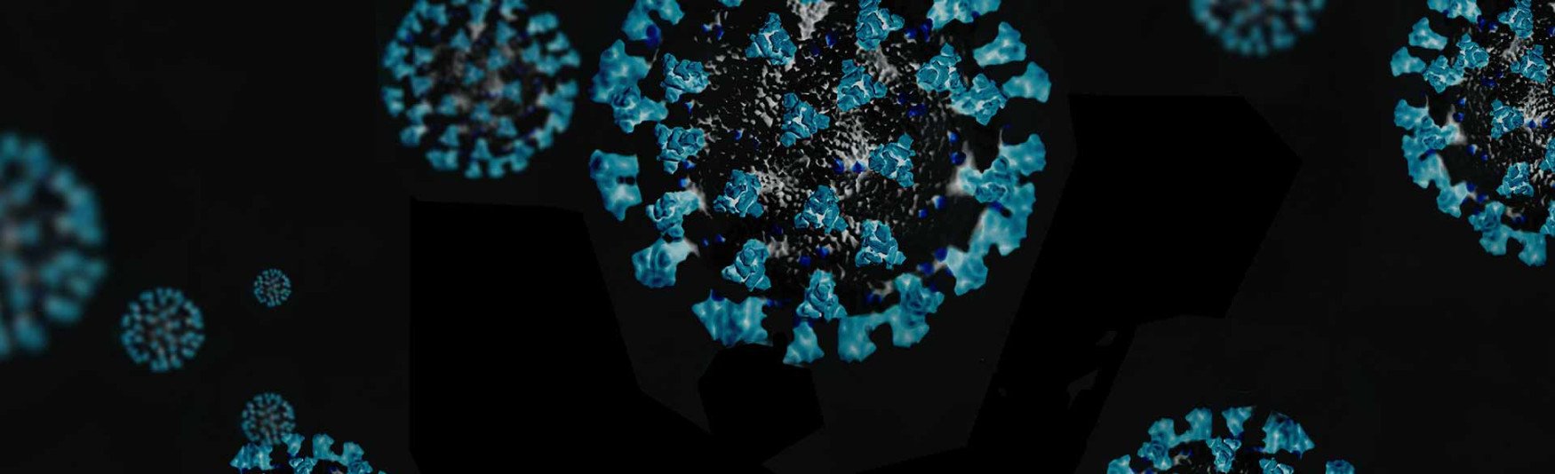 Influenza Virus particles